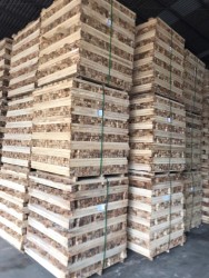 GỖ TRÀM XẺ SẤY 45 MM